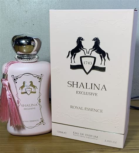 pdm delina exclusif dupe